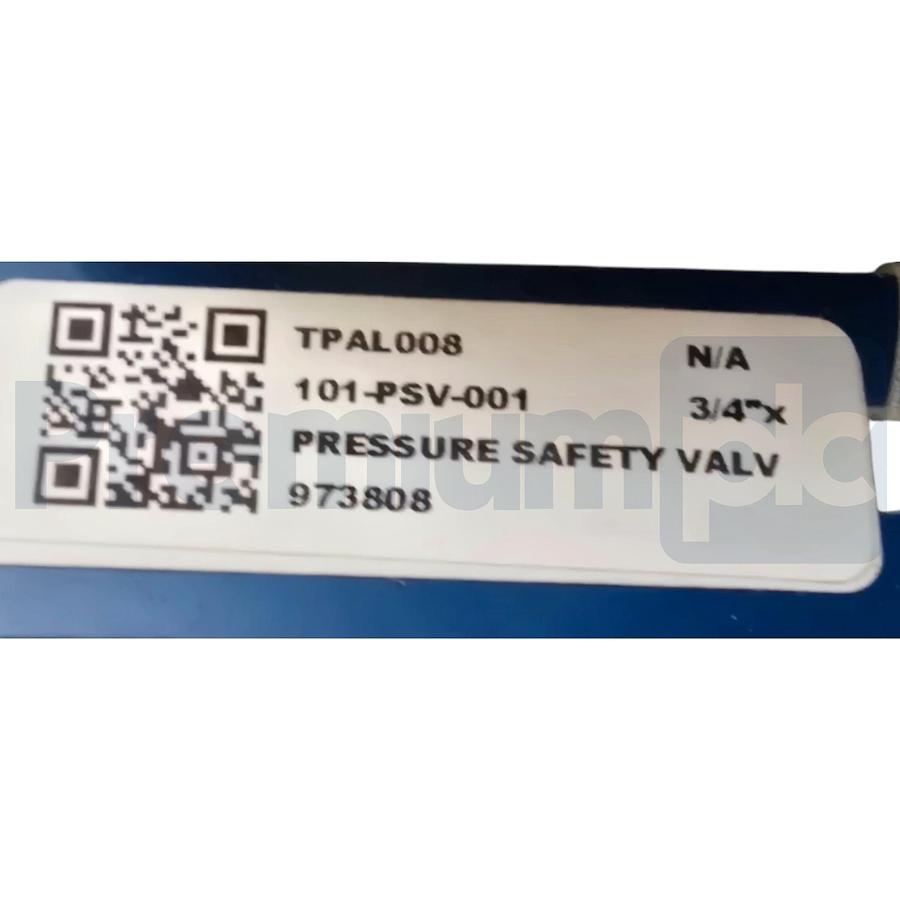 Used LESER 4594.2172 459 S/S Pressure Safety Relief Valve IN 3/4" OUT 1" 145psig NSNP