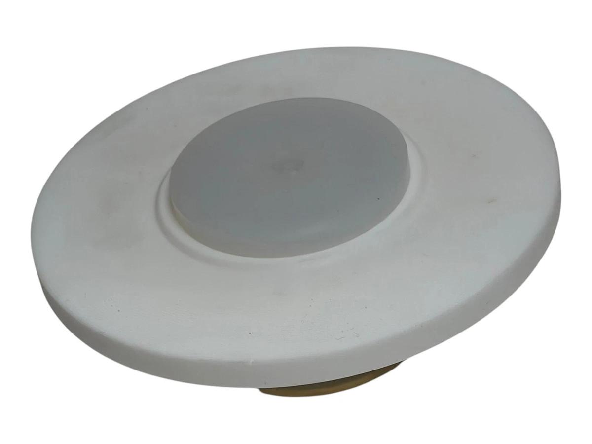 Check-All FPNTFMT.500SST 3" Teflon Flange Insert Check Valve 0.500 PSI - New