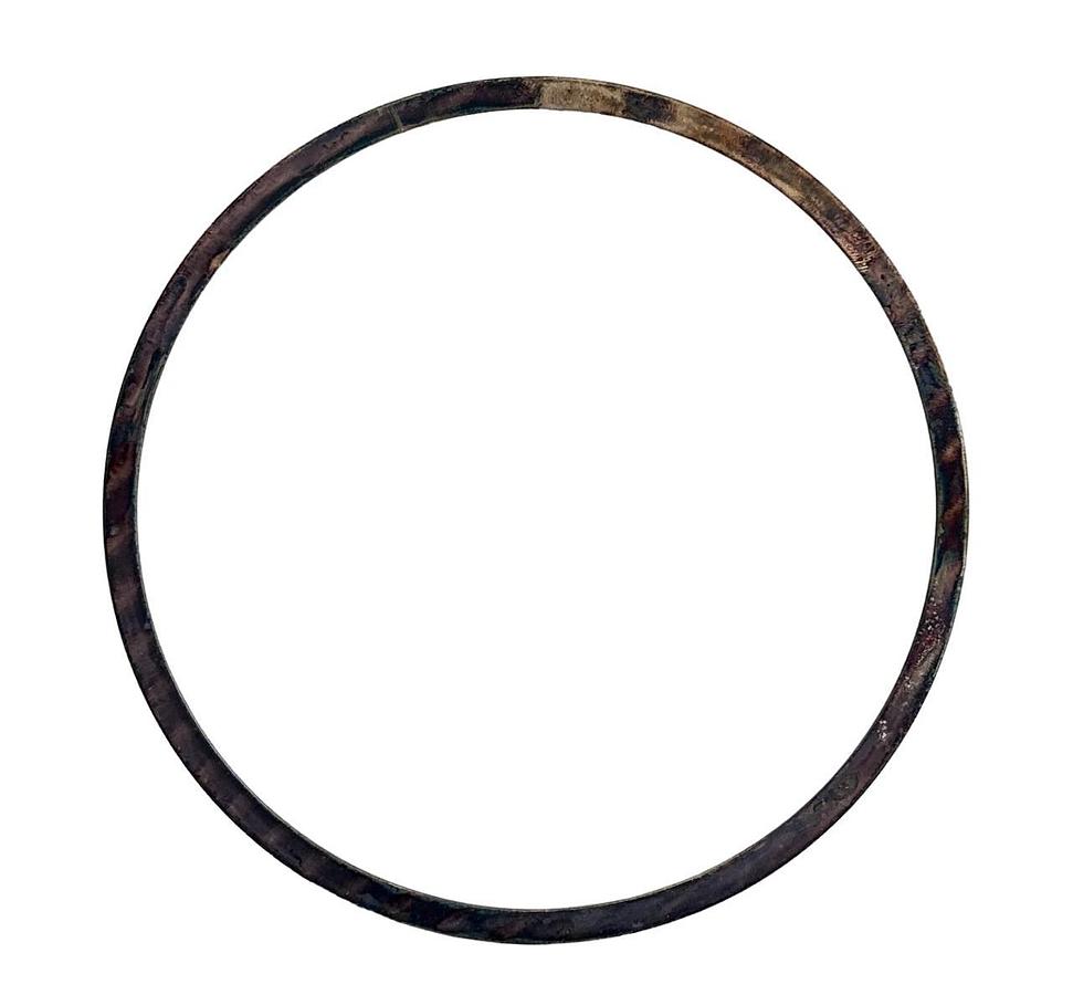 NEW FISHER PARTS EMERSON 10A5458X012 / 1OA5458XO12 CAGE GASKET OEM SURPLUS