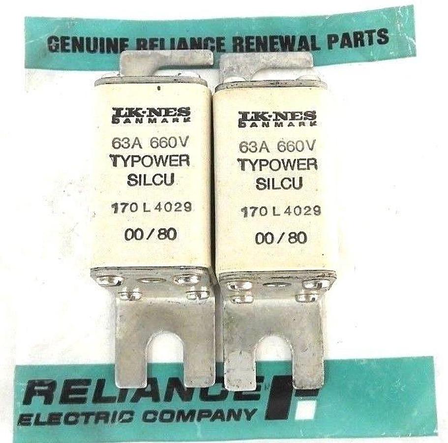 Used LOT OF 2 NEW LK-NES DANMARK 170L4029 TYPOWER SILCU 60A 660V FUSE 170-L-4029