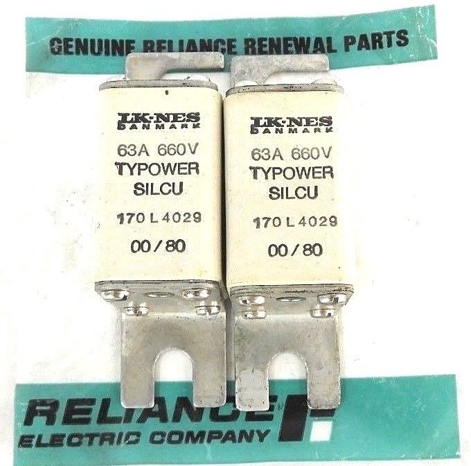 Used LOT OF 2 NEW LK-NES DANMARK 170L4029 TYPOWER SILCU 60A 660V FUSE 170-L-4029