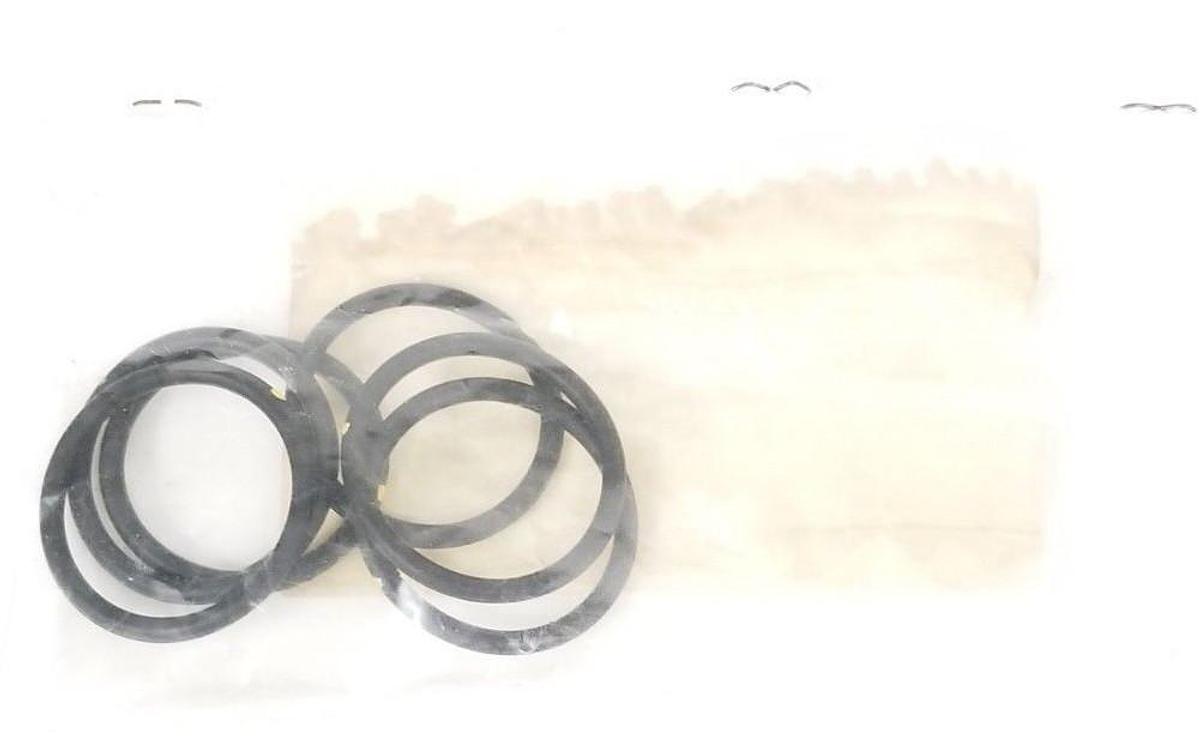 LOT OF 6 NEW BARDIANI VALVOLE RAAGD4131 O-RINGS
