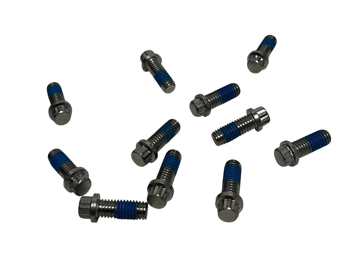 Used 30 ERSA 05050 SCREW CAPS 12PT .375-16 UNC FOR BLENTECH COOKER OEM 104861440 NSNP