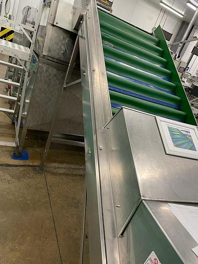 Used Newtec & Gillenkirch Apple/Pear Full Packing Line