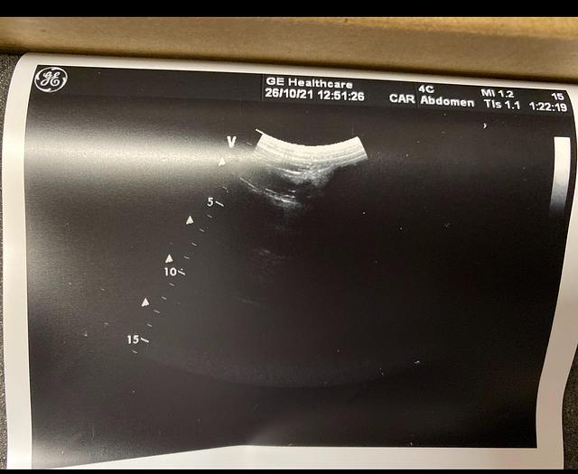 Gebraucht 4C GE Ultrasound probe 62741PD4