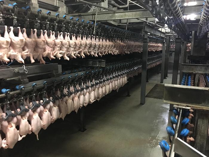 Chicken air chilling line – LINCO