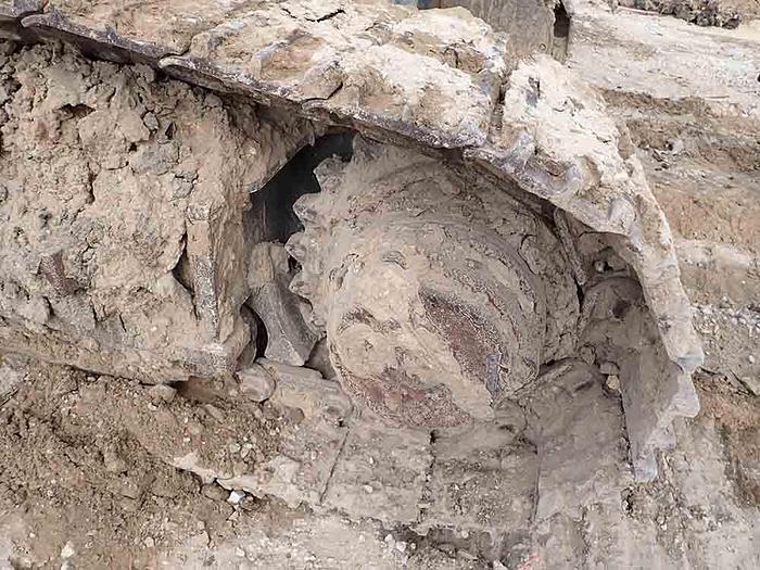 Used 2016 CASAGRANDE B175XP