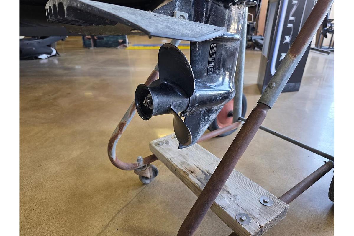 Used 2022 Mercury Marine Engines 20 hp
