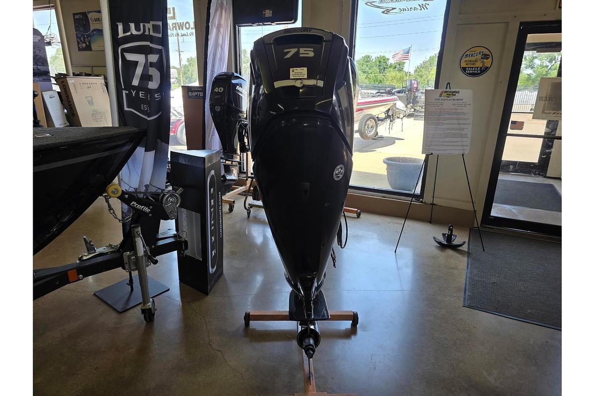 Used 2016 Mercury 75 hp