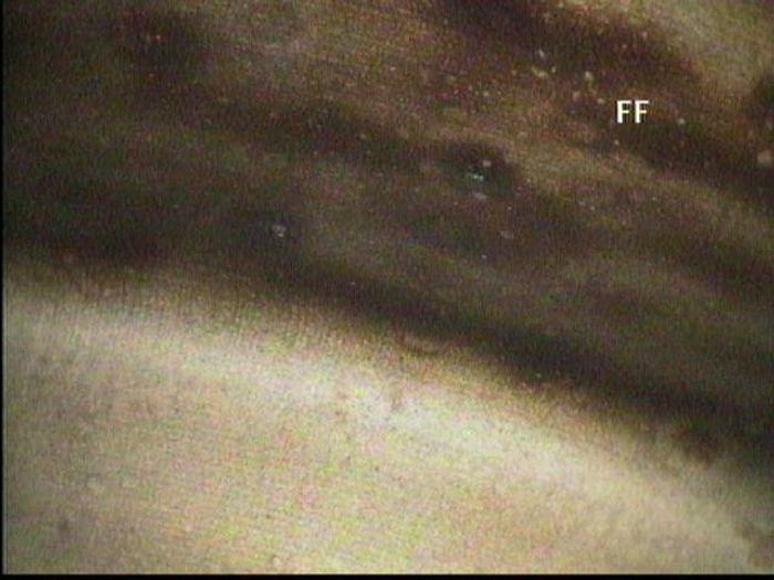 Refurbished NASH CL3002 #19919