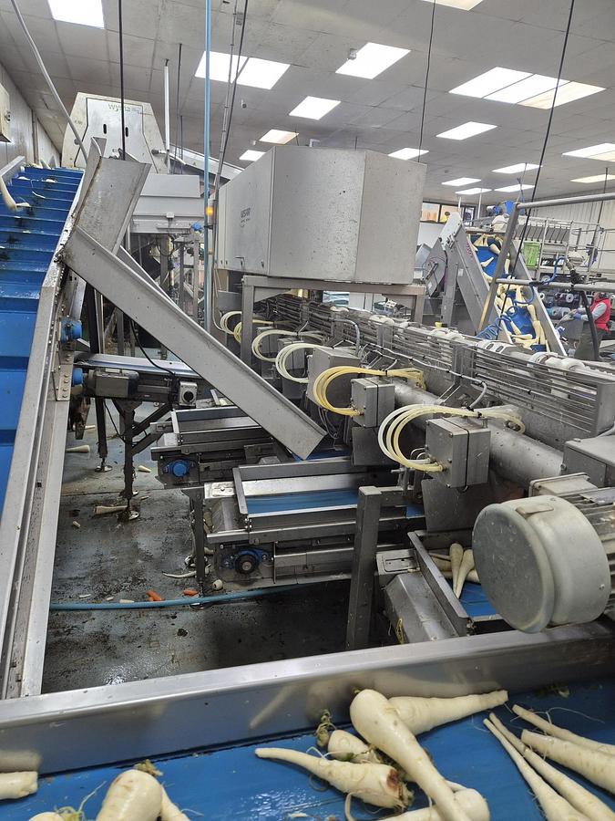 Used VISAR Carrot Camera Grader