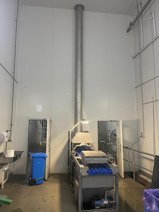 Used FINIS AUTO AANV ONION PEELING LINE