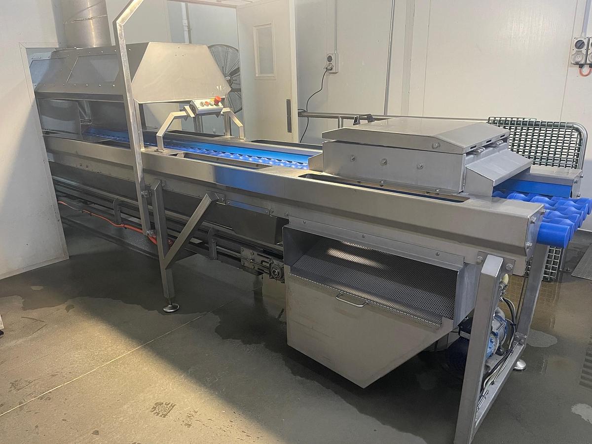 Used FINIS AUTO AANV ONION PEELING LINE