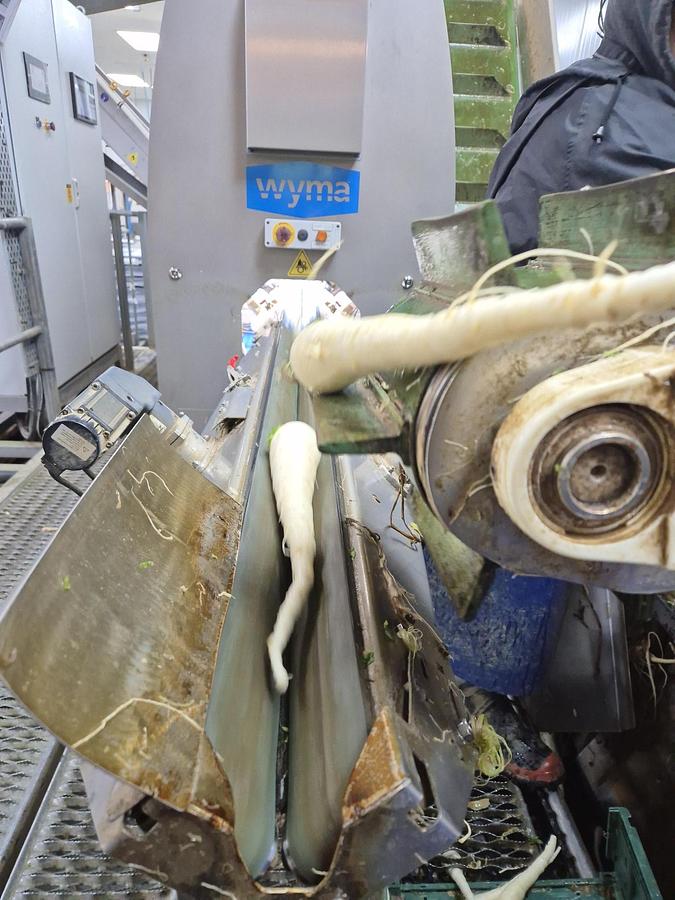 Used WYMA ROTO-CUT Parsnip and Carrot trimmer