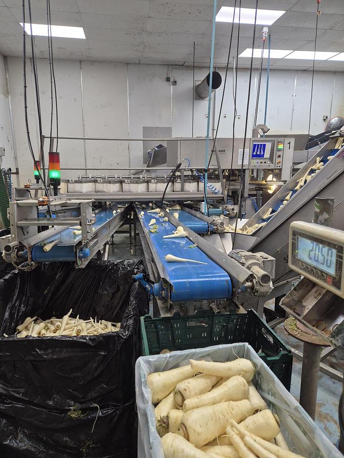 Used VISAR Carrot Camera Grader