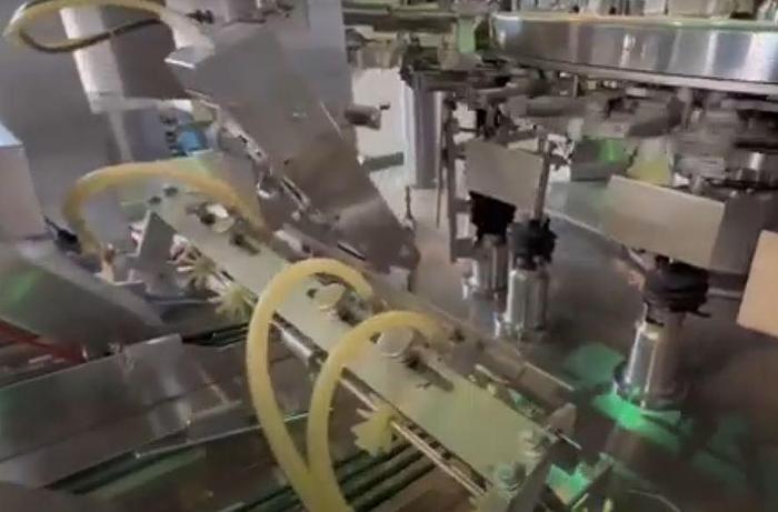 Used TOYO JIDOKI TT9-CW2 High Speed Pre-Made Pouch Filler