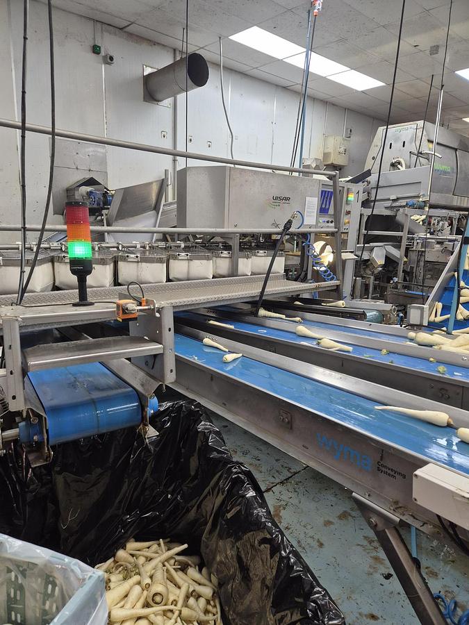 Used VISAR Carrot Camera Grader