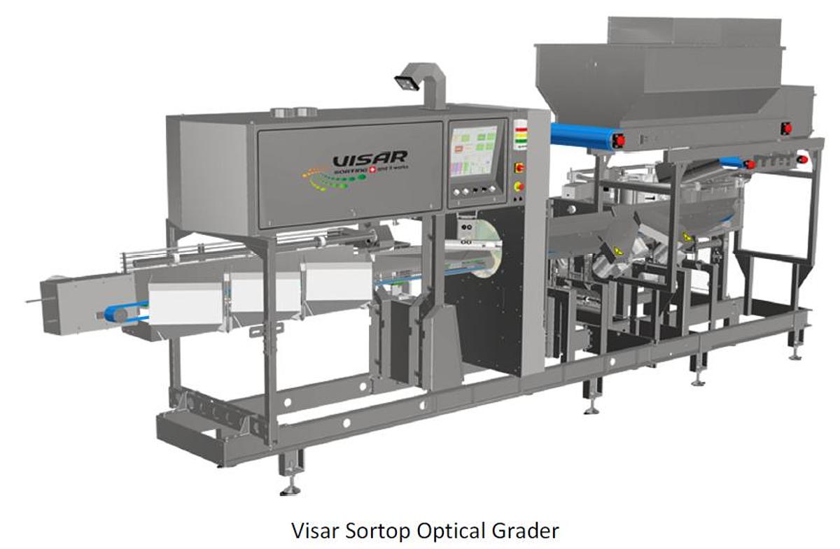 Used VISAR  Camera Grader for root vegetables, potatoes, carrots etc.