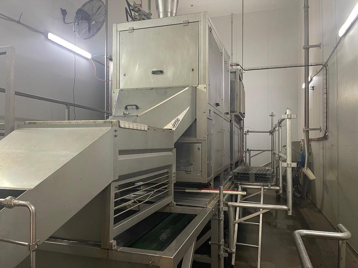 Used FINIS AUTO AANV ONION PEELING LINE