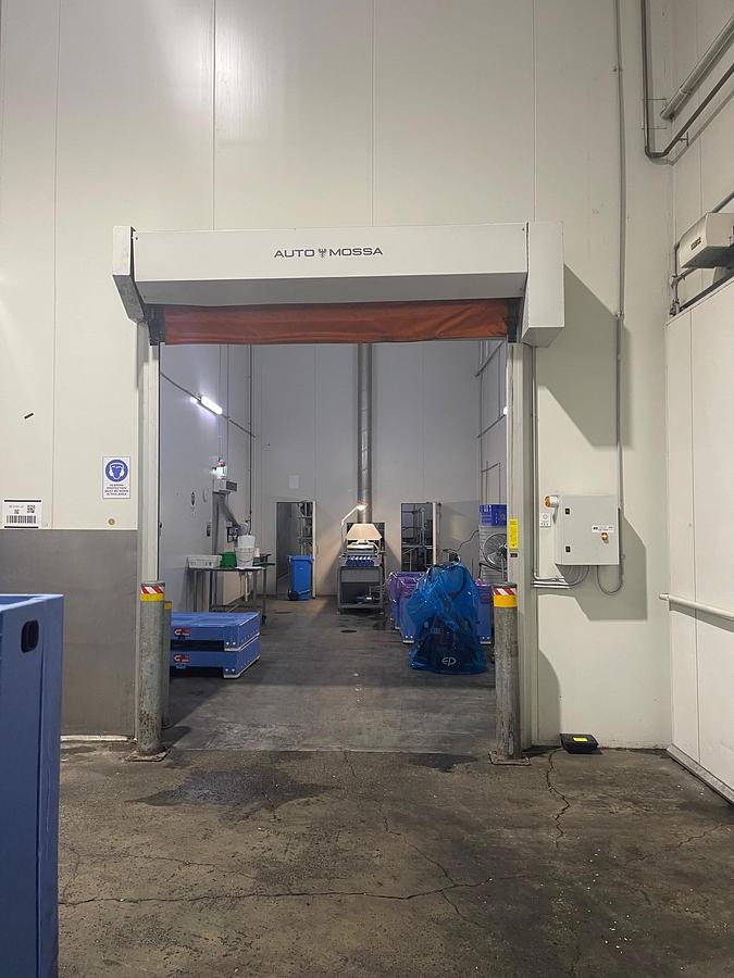 Used FINIS AUTO AANV ONION PEELING LINE