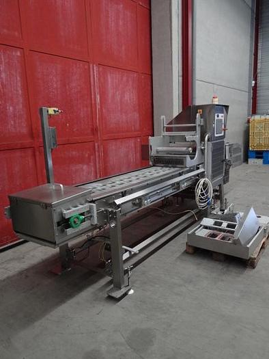 Used Proseal 2 lane topsealer