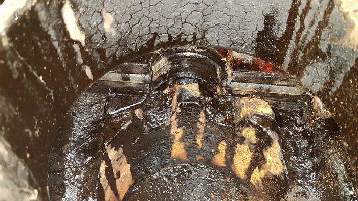 Used SHAFFER 7 1/16" 3M Double Ram BOP