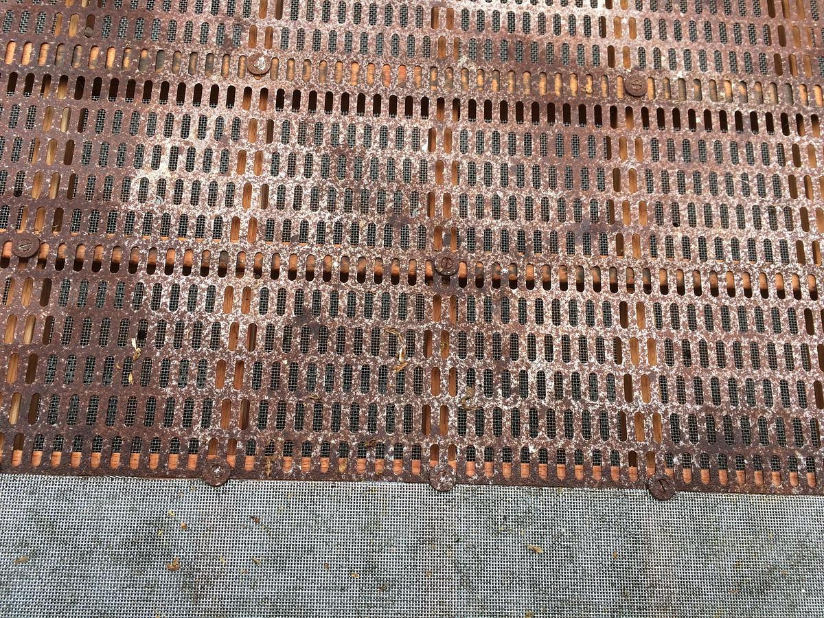 Brugt Sangati T30 destoner/grain cleaner