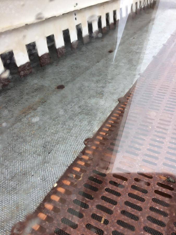 Brugt Sangati T30 destoner/grain cleaner