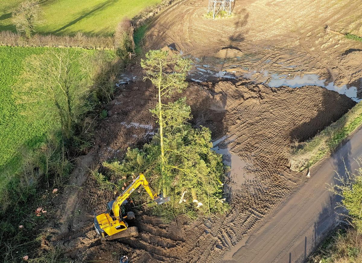 KOALA TILT 550/550 KOALA MOUNT TREE SHEAR