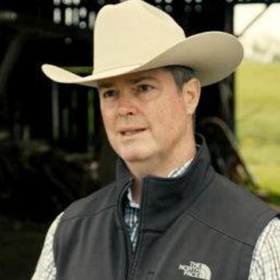 Trailed Chainless Bale Processors