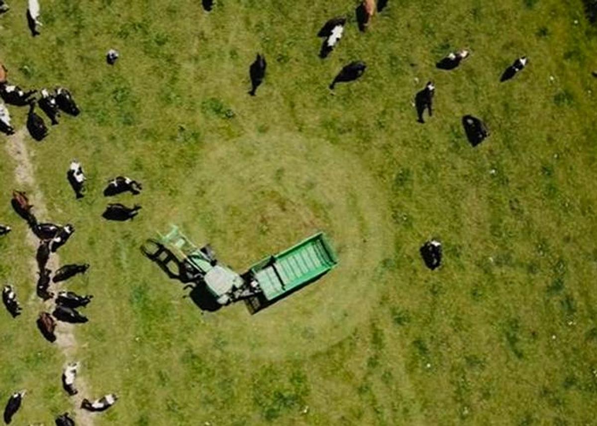 Swifthitch² Quick Hitches