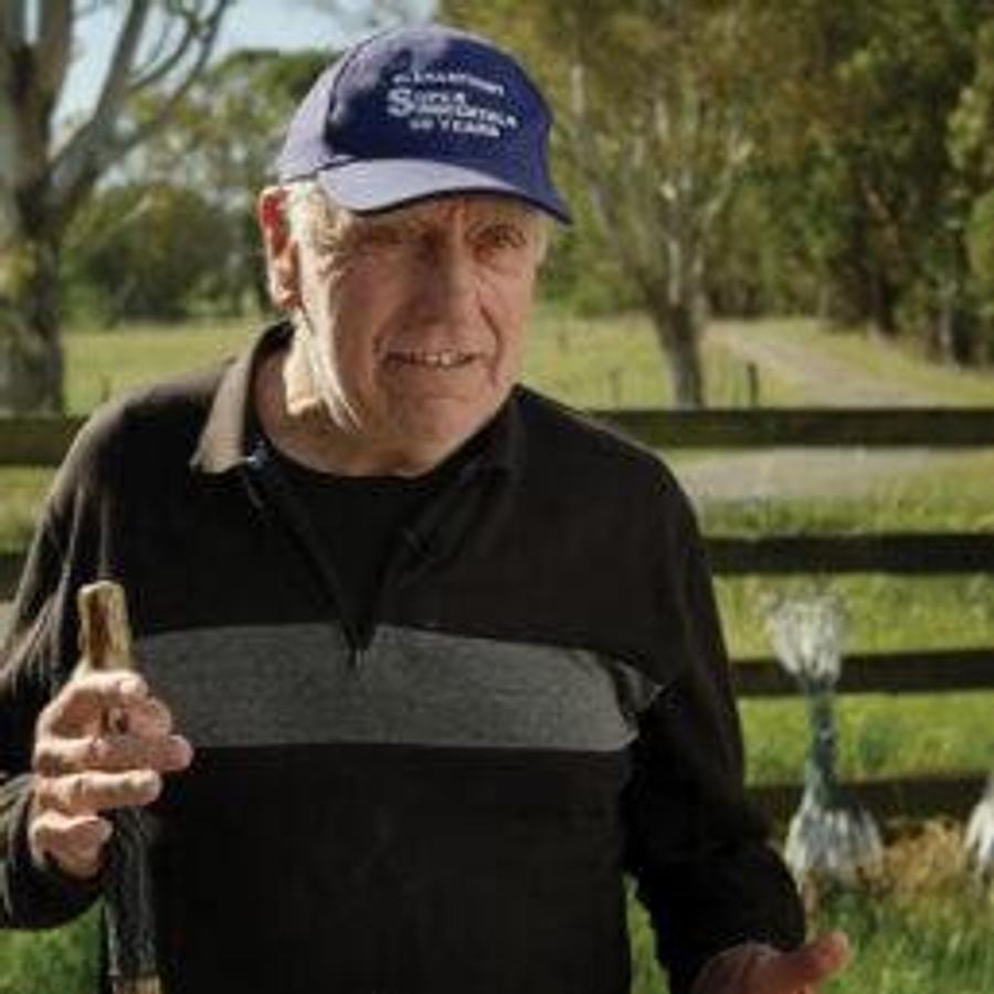 Regener8r Hydraulic Folding Chain Harrows