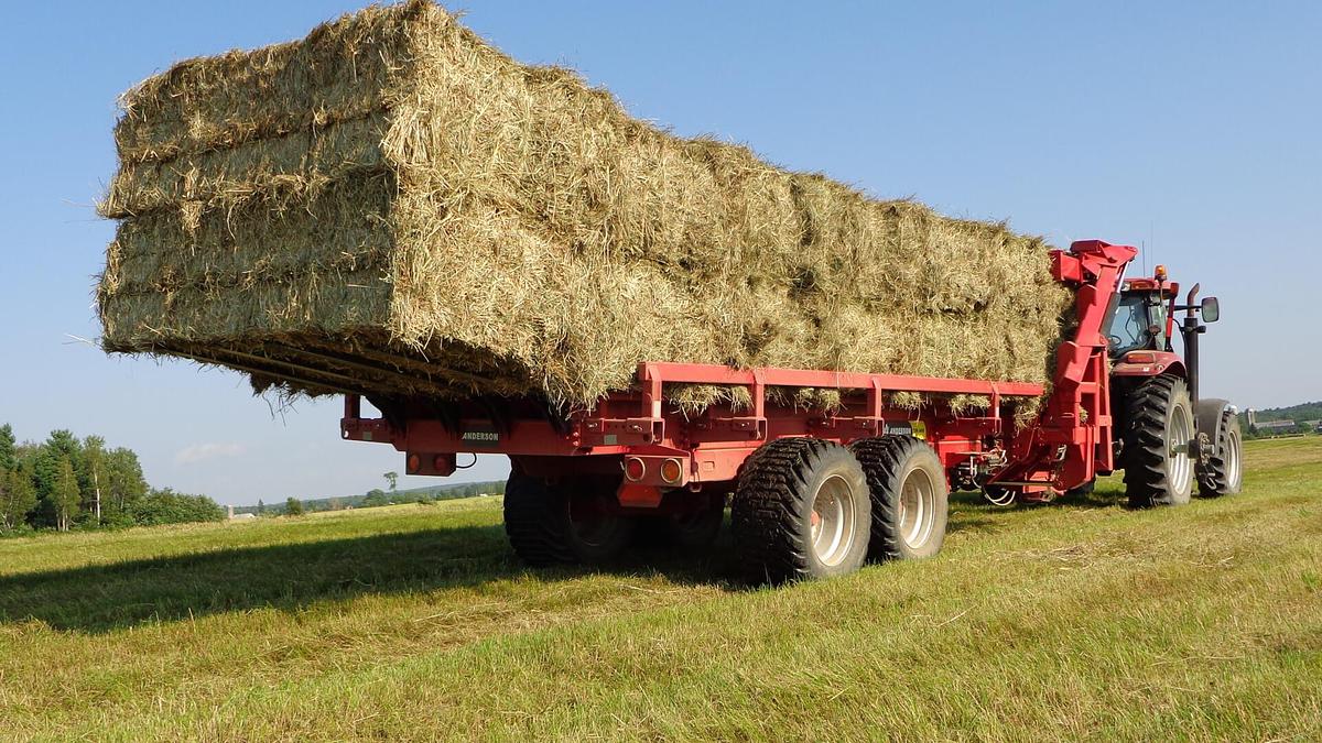 TSR3450 WITHOUT BRAKES