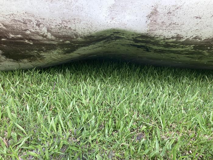 Used 50,000 GALLON MUELLER SILO TYPE STORAGE TANK - S/S - JACKETED (#9887)