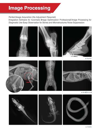 Rayence 1417WCC Wireless Flat Panel Detector - Xmaru VetView Veterinary Software