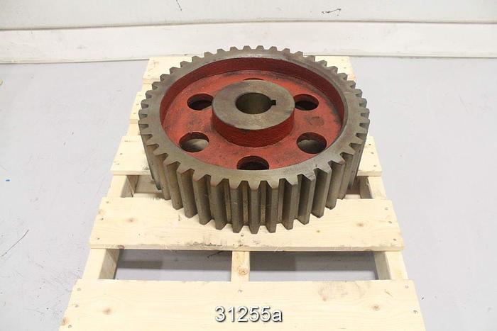 Unused Lawton Pinion Gear, 43 Teeth #31255