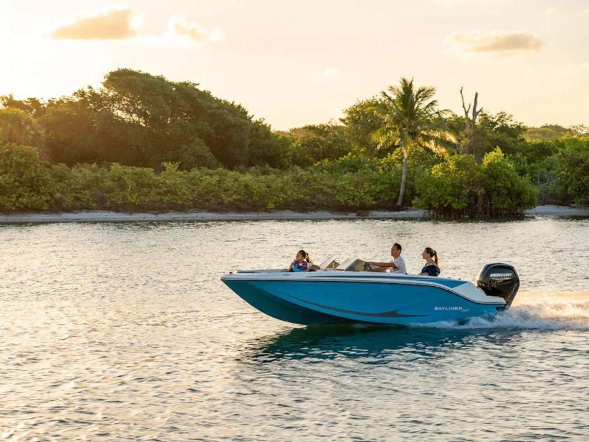 2025 Bayliner M17 Base