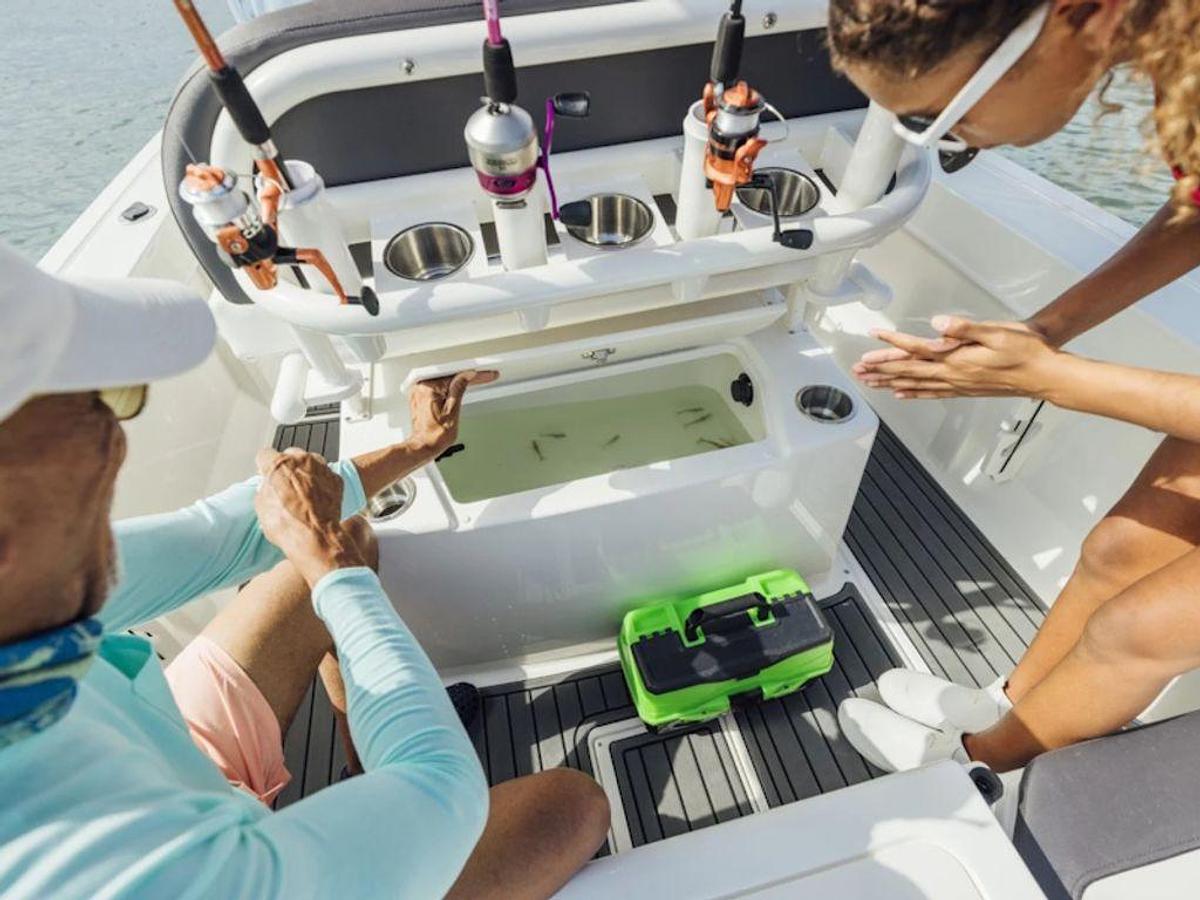 2026 Bayliner T20CC Base