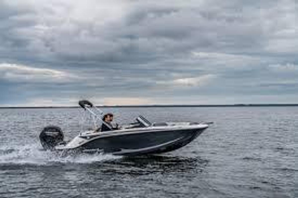 2026 Bayliner M17