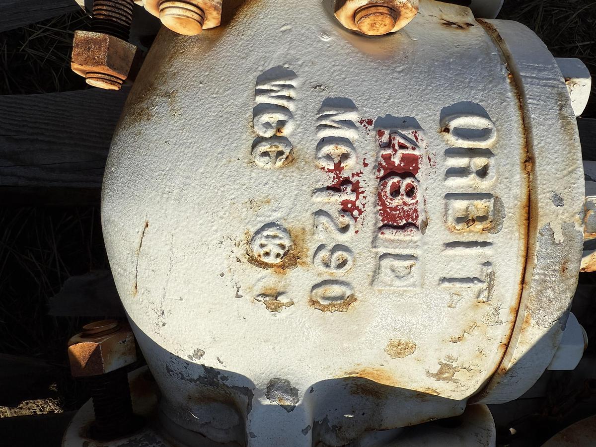 Used Orbit 4" Ball Valve & 9x4x9 Flanged Electric Pump