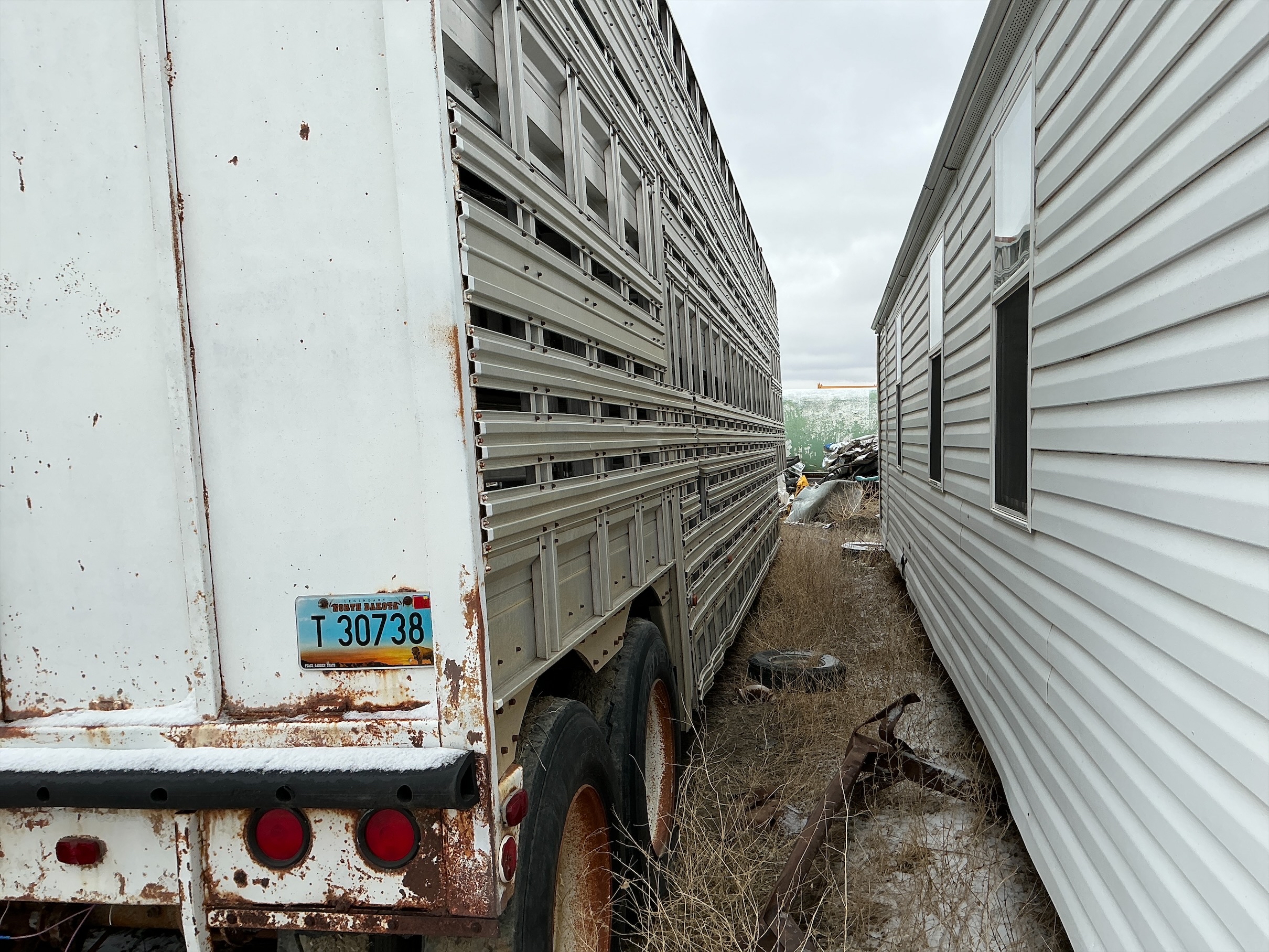 Used 1976 Wilson Bull Livestock Trailer