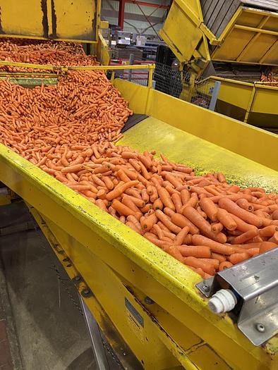 Used PEAL Hopper 4m L 2.5m W