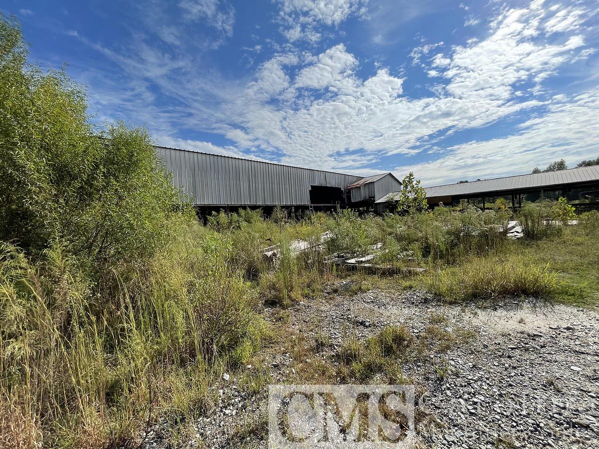 Used Complete Sawmill with Land Ligna, HMC, Cornell, Precision