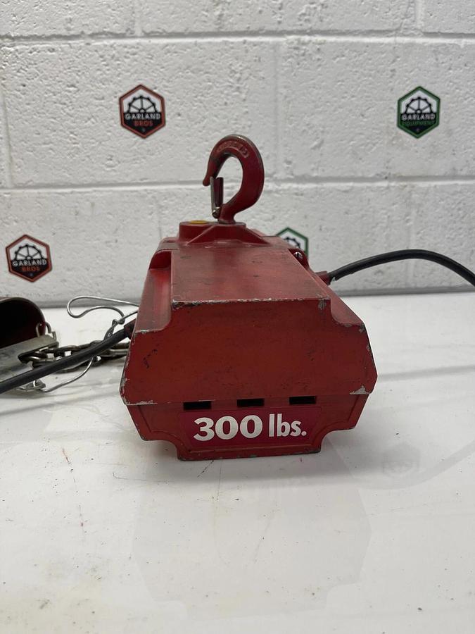 Used Dayton 4Z358 Electric Chain Hoist 300 Lbs 10' Lift 115V 1Ph 60 Hz 1/6Hp 3A 16FPM
