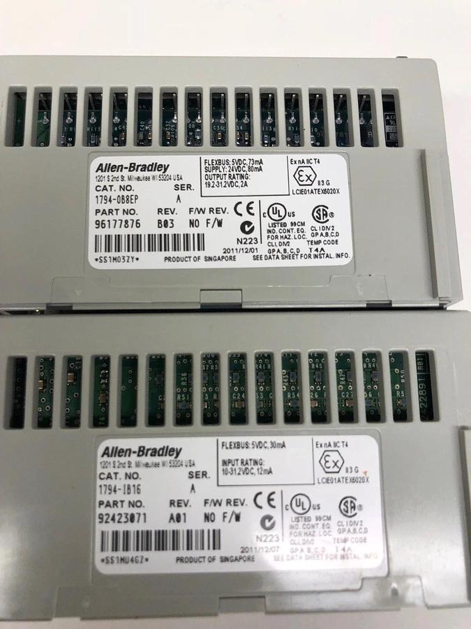 Used Allen Bradley 1794-OB8EP and 1794-IB16 Flex I/O (BOTH ITEMS INCLUDED)