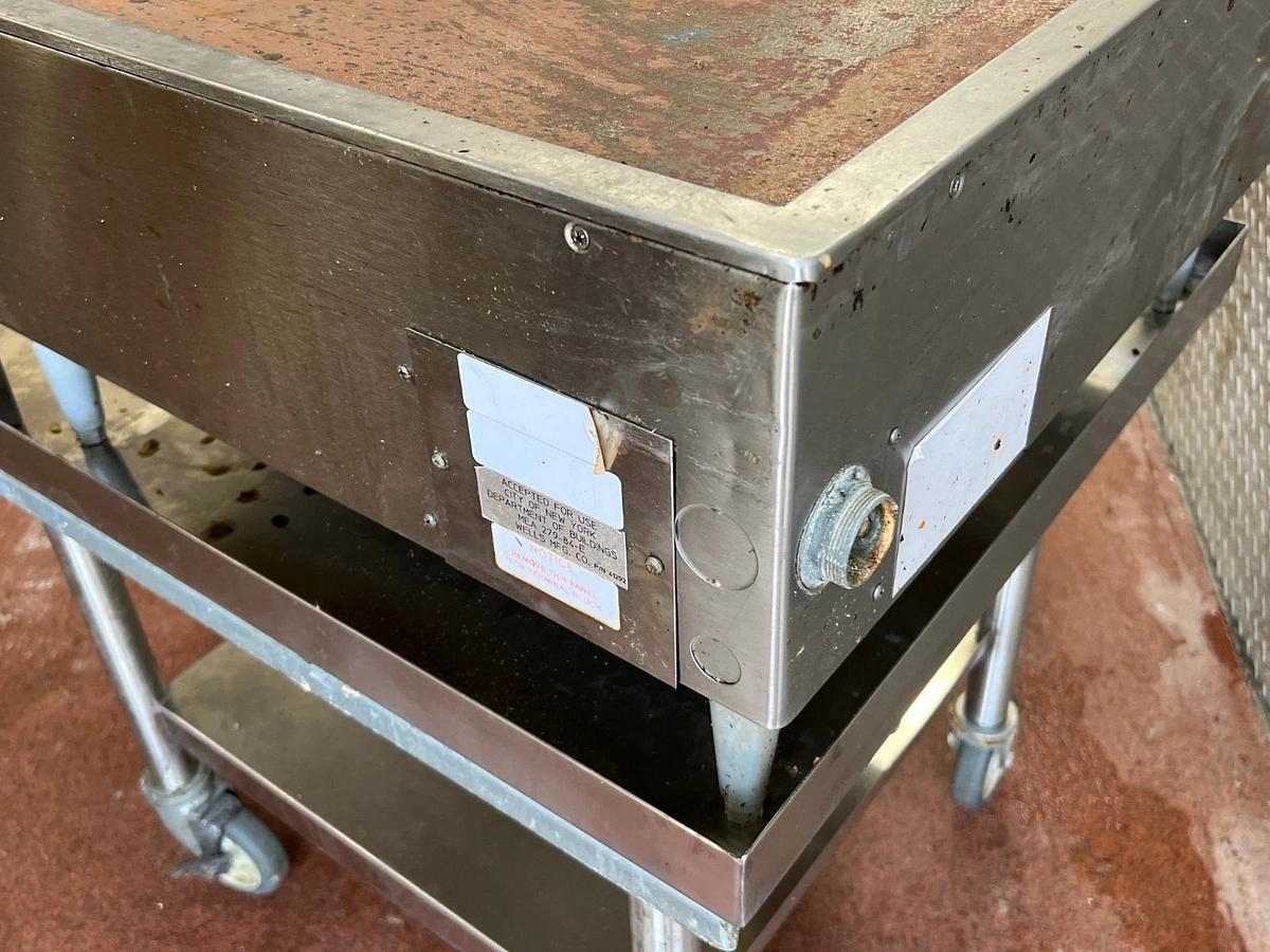 Used Wells G13 Griddle