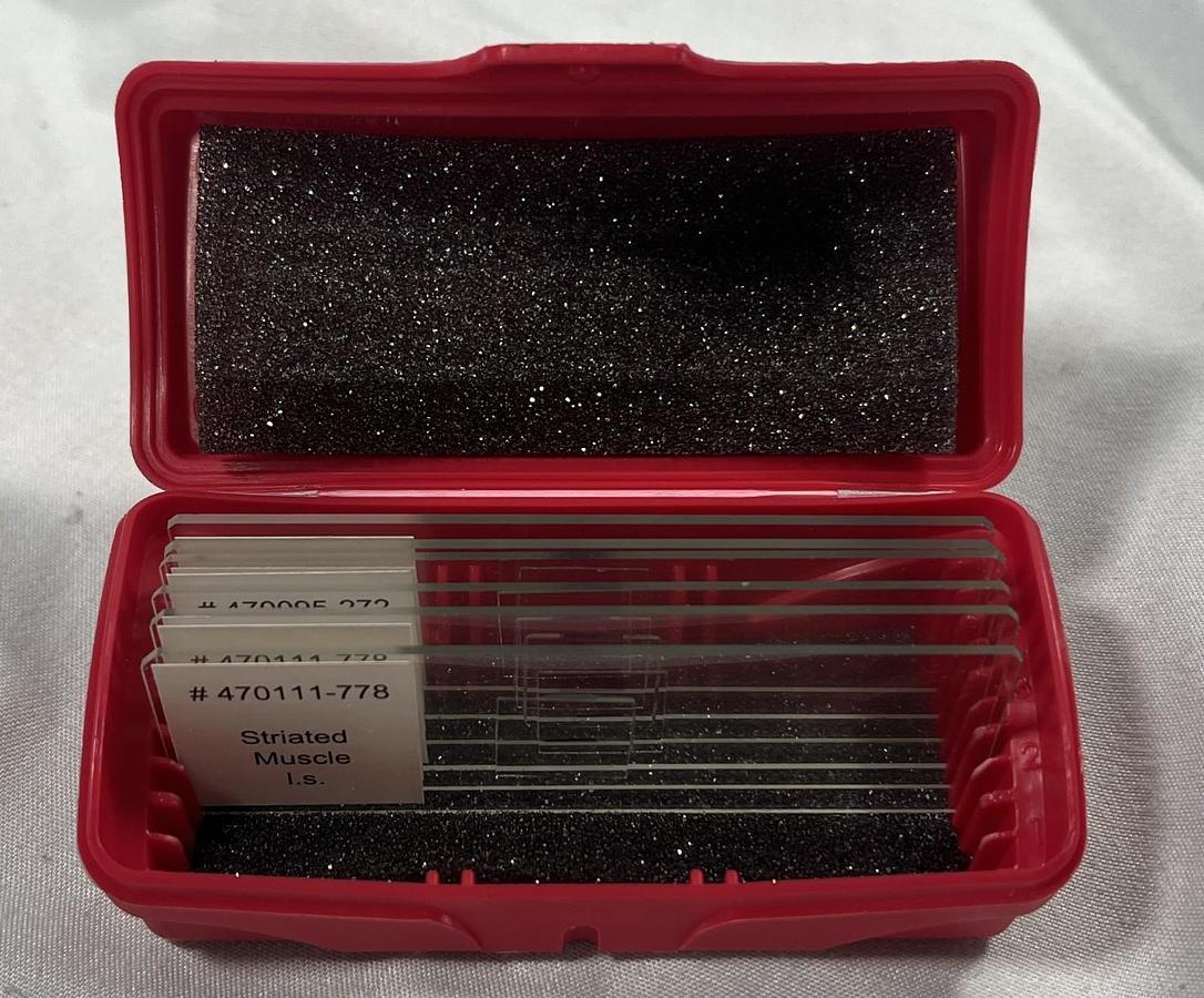 Fisher Scientific 12-550-19 Colorfrost Microscope Slides (Lot of 2 packets)