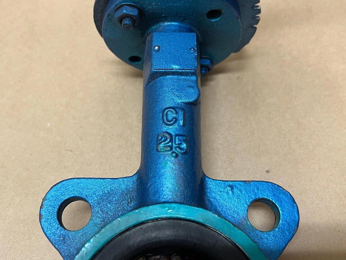 Used Cast Iron Butterfly Valve, 2-1/2" CI 25