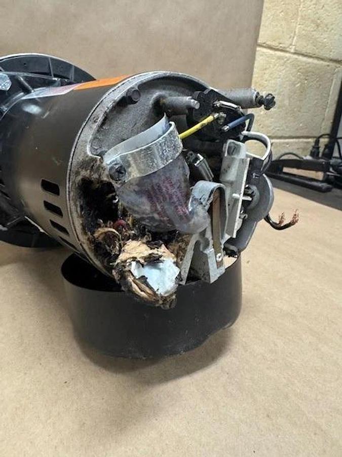 Used Century C48C04Z01 1/2Hp Centrifugal Pump *Needs Capacitor*