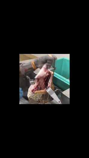 desosseuse jambon sec